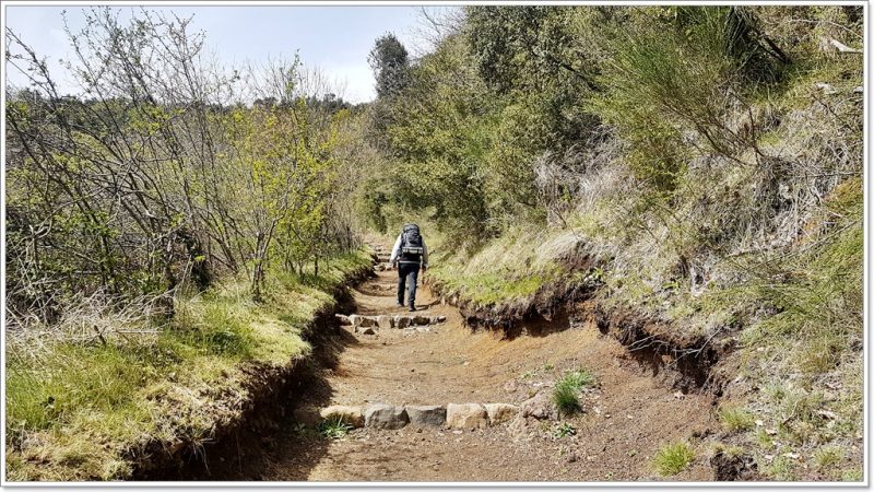 Santa Margarida, Trail, Catalunya, Spain