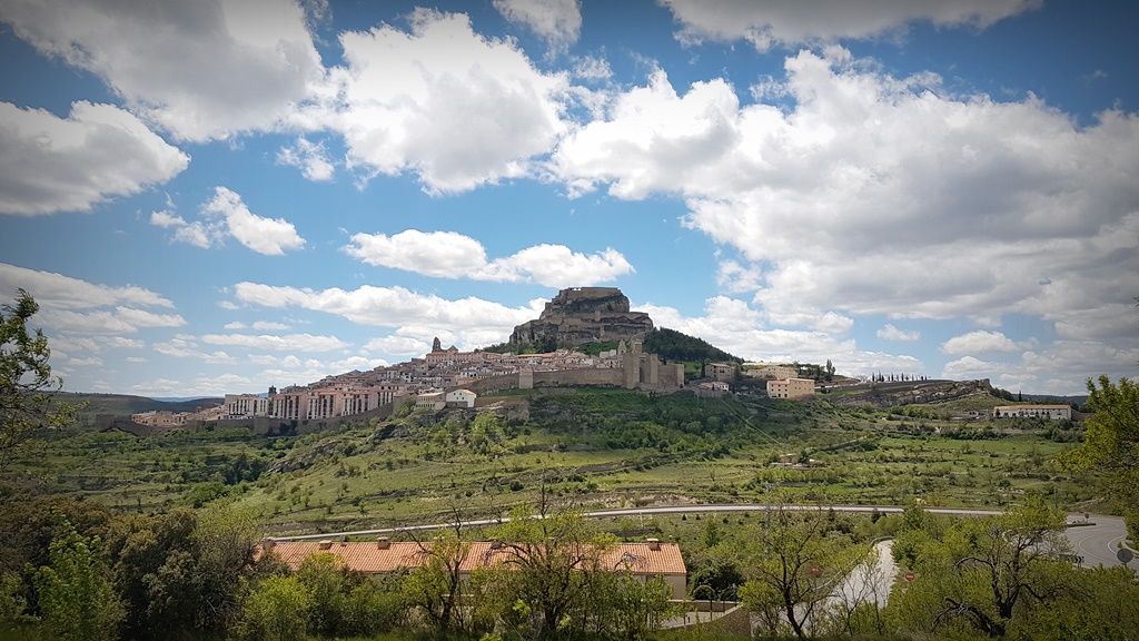 Morella