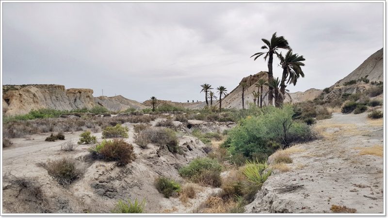 Tabernas - Lawrence of Arabia Filmset - Andalusia - Spain