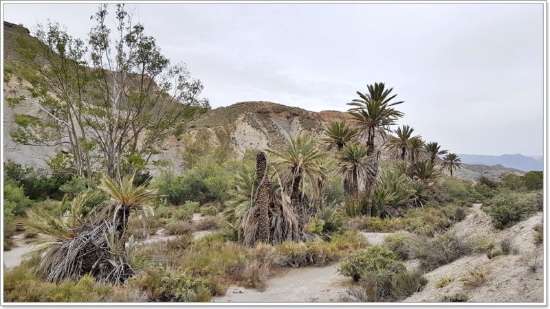 Tabernas - Lawrence of Arabia Filmset - Andalusia - Spain