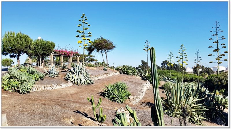 Botanic Garden - Huelva La Rabida - Andalusia - Spain