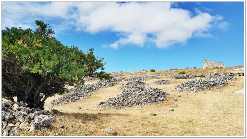 Ruins of Acinipo - Ronda - Andalusia - Spain