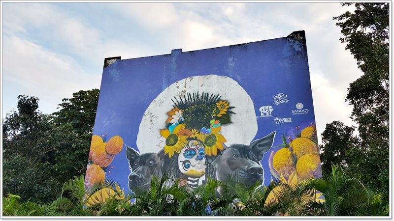 Mexico - Streetart - Grafiti