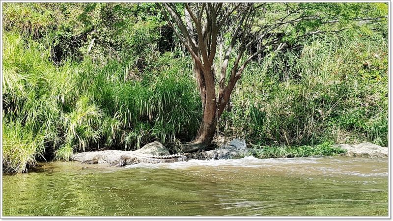 Nationalpark Cañón del Sumidero - Chiapa del Corzo - Mexico