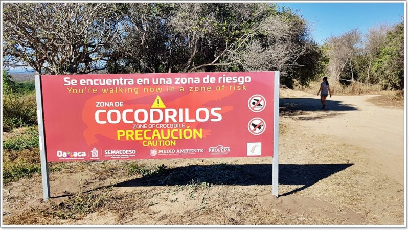 Puerto Escondido - Krokodile - Oaxaca - Barre de Navidad