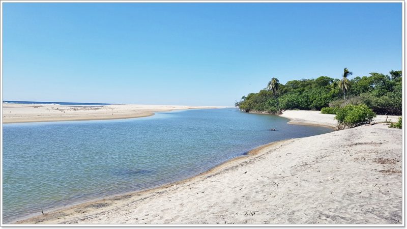 Puerto Escondido - Krokodile - Oaxaca - Barre de Navidad