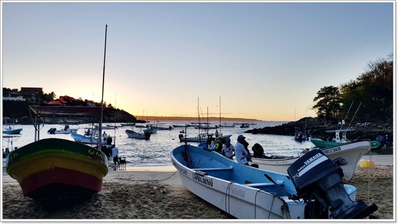 Puerto Escondido - Oaxaca - Wale