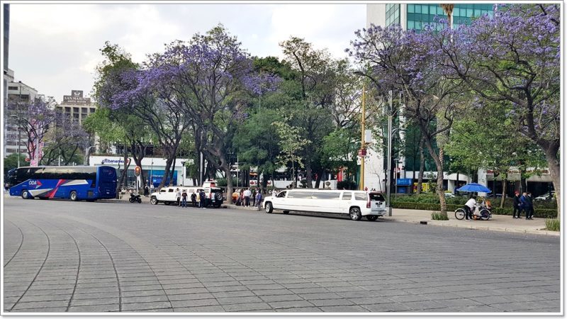 CDMX - Mexico - Centro Rosas