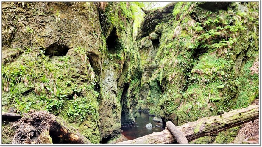 The Devil´s Pulpit - Schottland - Finnich Glen