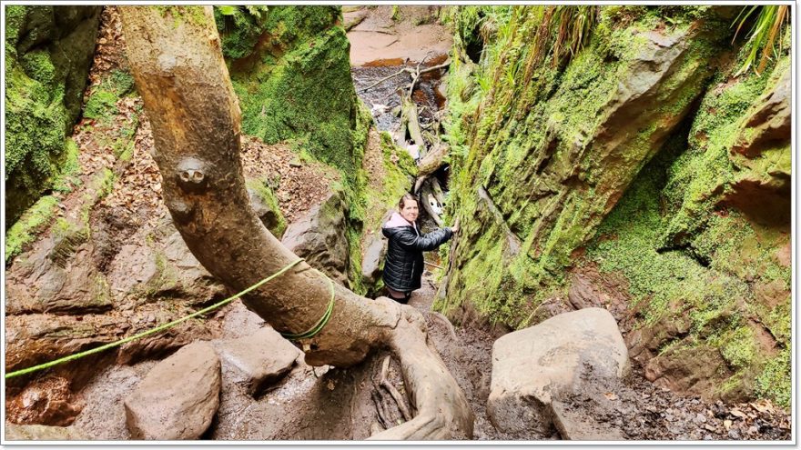 The Devil´s Pulpit - Schottland - Finnich Glen