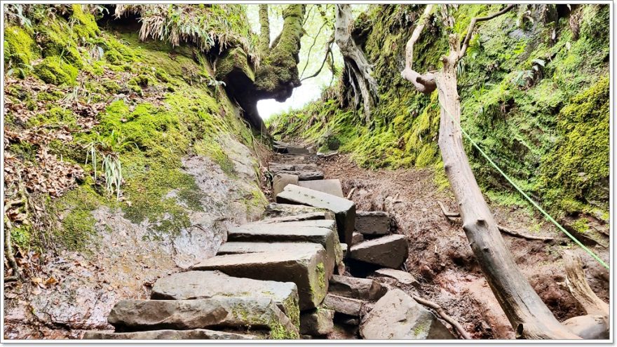 The Devil´s Pulpit - Schottland - Finnich Glen