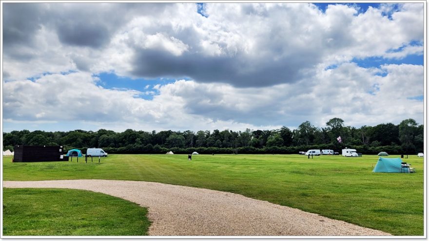 New Forest Nationalpark - England