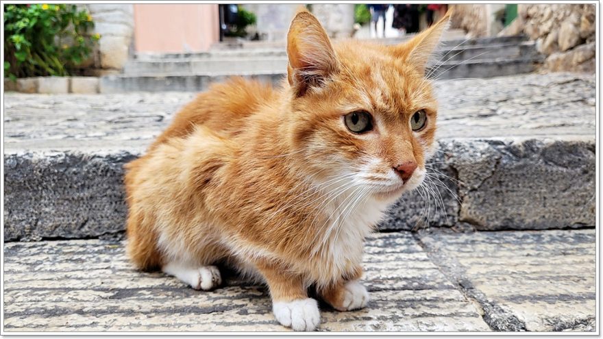 Kroatien - Istrien - Rovinj