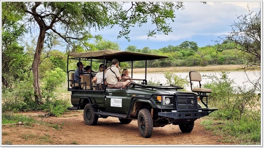 Buschwalk - Wildlife - Afrika - Safari