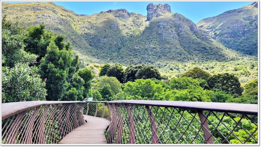 Cape Town - Afrika - Kirstenbosch