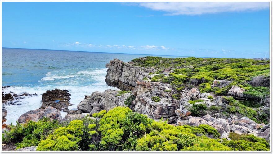 Cliff Path Trail - Hermanus - Gardenroute - Südafrika