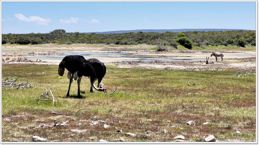 De Hoop - Naturreservat - Südafrika