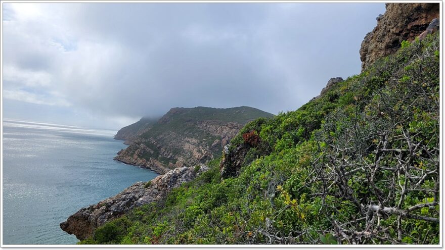 Robberg Island - Südafrika - Plettenberg Bay