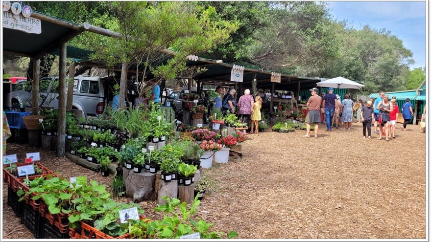 Wild Oaks Community Farmermarket - Sedgefield - Südafika