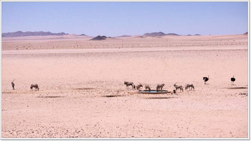 Aus - Namibia - Wasserstelle