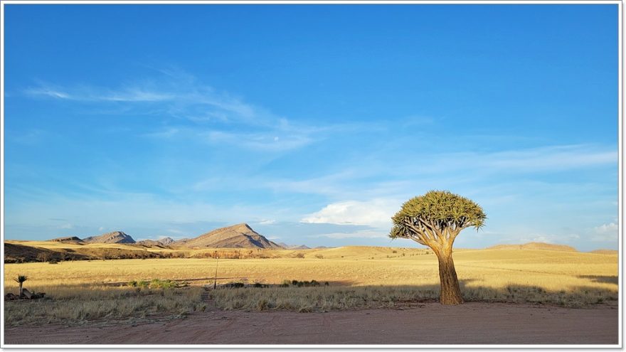 Bushmans Camp - Namibia - Afrika