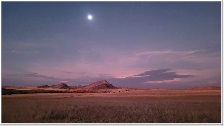 Bushmans Camp - Namibia - Afrika