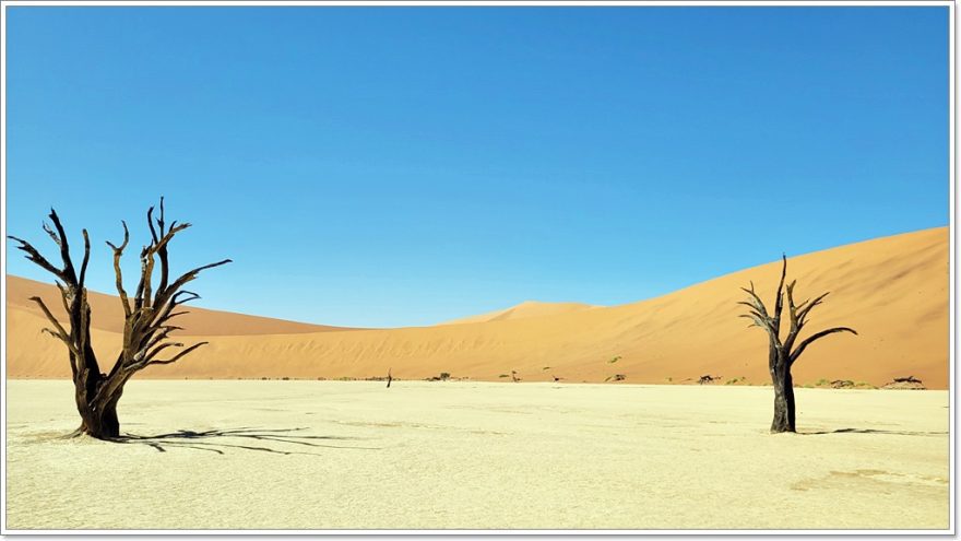 Deadvlei -Namib Wüste - Namibia