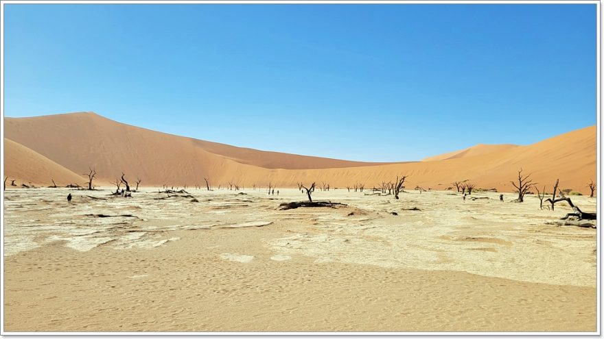 Deadvlei -Namib Wüste - Namibia