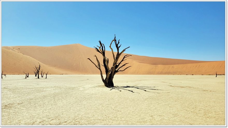 Deadvlei -Namib Wüste - Namibia