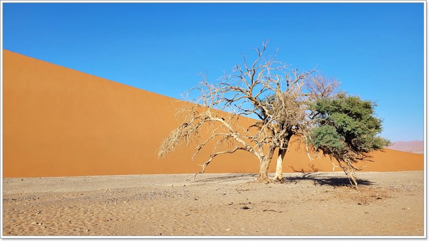 Düne 45 - Sesriem - Namib Wüste - Namibia