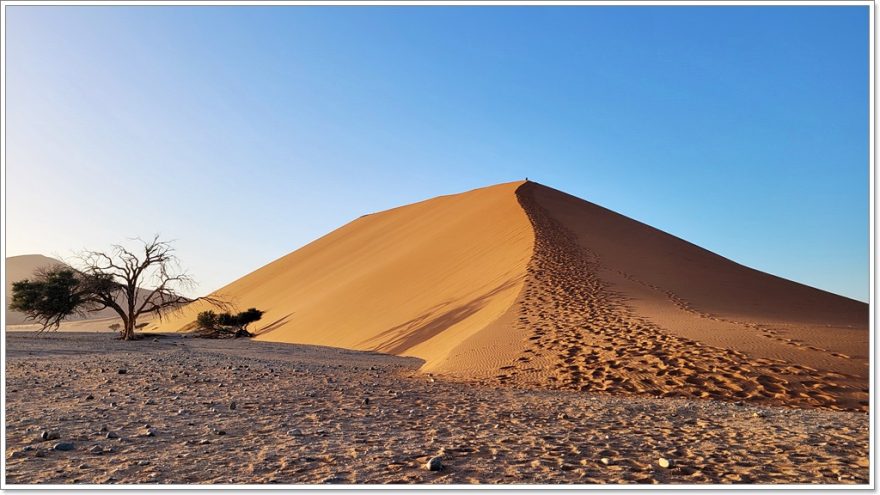 Düne 45 - Sesriem - Namib Wüste - Namibia