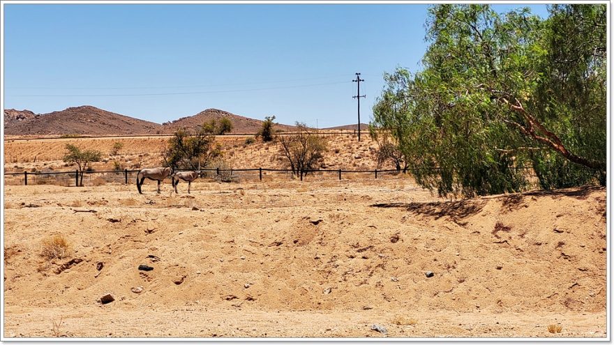 Gondwana Lodge Klein-Aus Vista - Namibia - Aus