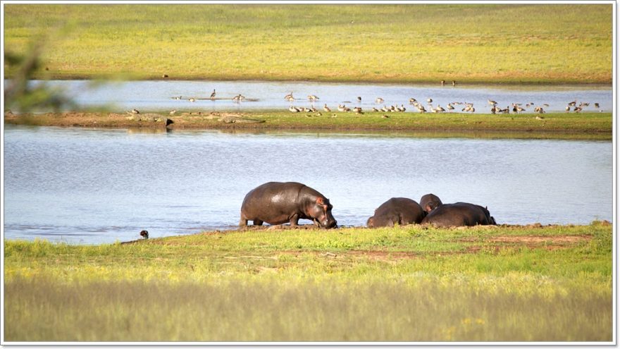 Ovita Wildlife Resort - Namibia - Afrika