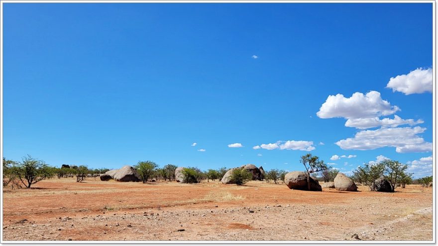 Palmwag - Namibia - Afrika