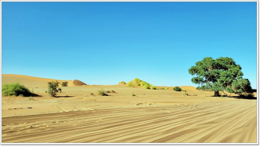 Sossusvlei - Namib Wüste - Namibia