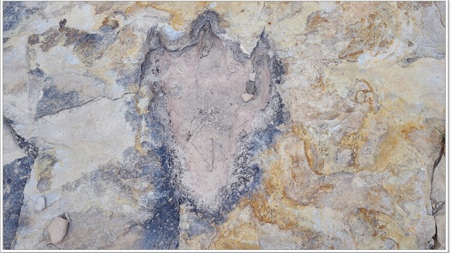 Clayton Lake State Park and Dinosaur Trackway - New Mexico