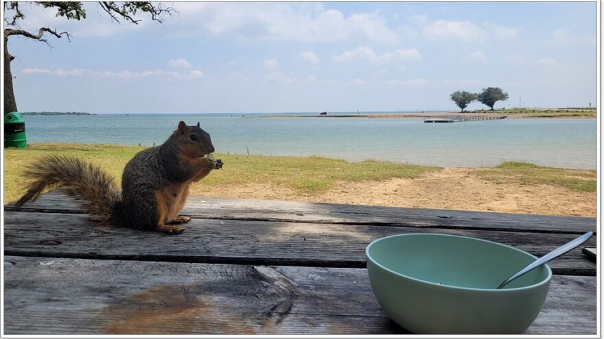 Lake Lewiswille - Texas - Dallas