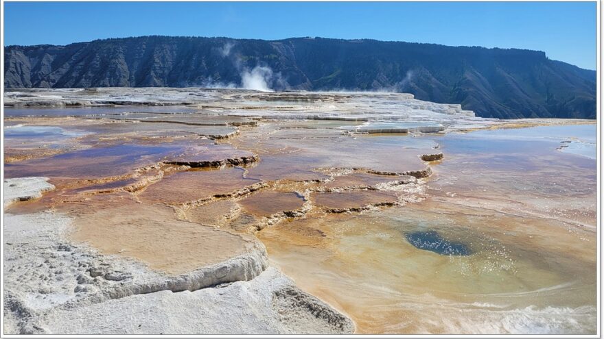 Yellowstone - Mammoth Hot Springs - Wyoming - USA