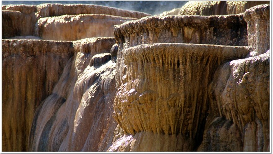 Yellowstone - Mammoth Hot Springs - Wyoming - USA