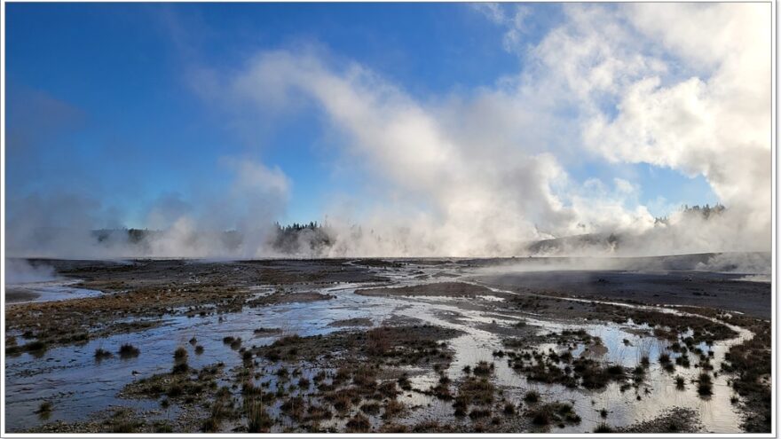 Yellowstone - Norris Geyser Basin - Wyoming - USA