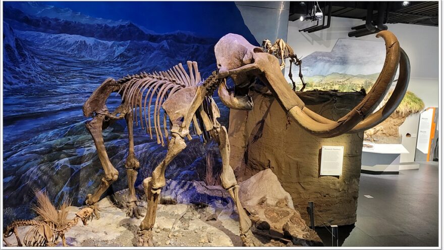 Kanada - Royal Tyrrell Museum