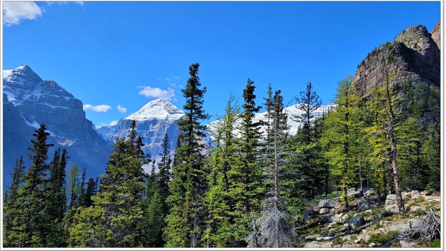 Banff Nationalpark - Kanada - Icefields Parkway - Scenic Route - Big Beehive