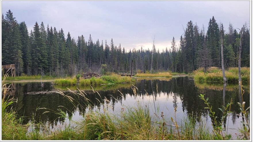 Hinton - Kanada - Beaver Trail