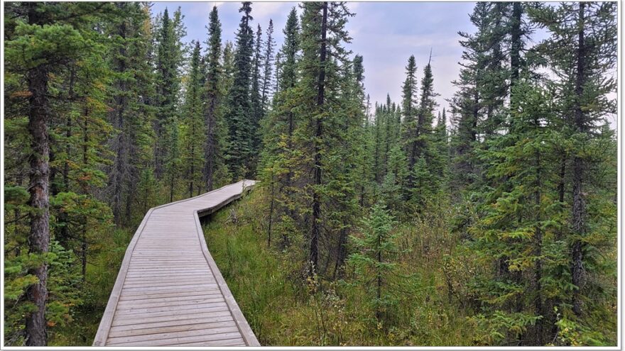 Hinton - Kanada - Beaver Trail