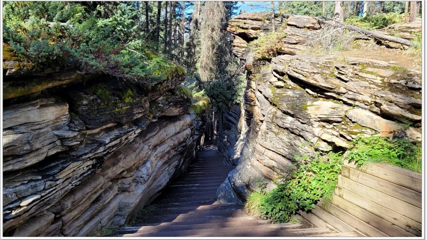 Jasper Nationalpark - Kanada - Icefields Parkway - Scenic Route - Athabasca Falls - Sunwapta Falls