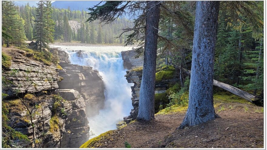 Jasper Nationalpark - Kanada - Icefields Parkway - Scenic Route - Athabasca Falls - Sunwapta Falls