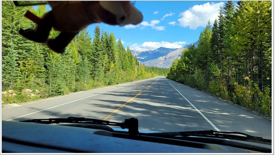 Jasper Nationalpark - Kanada - Icefields Parkway - Scenic Route - Magline Canyon