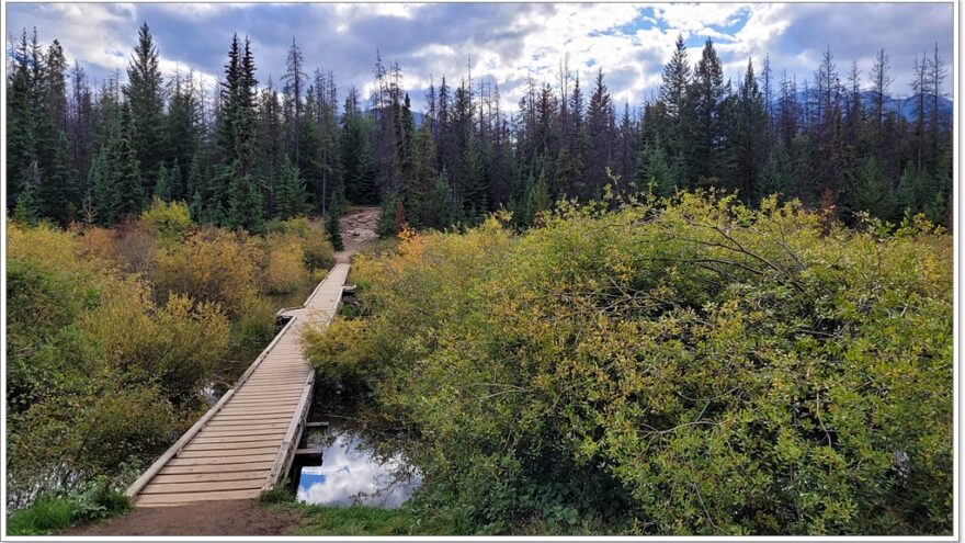 Jasper Nationalpark - Kanada - Icefields Parkway - Scenic Route - Valley of the Five Lakes