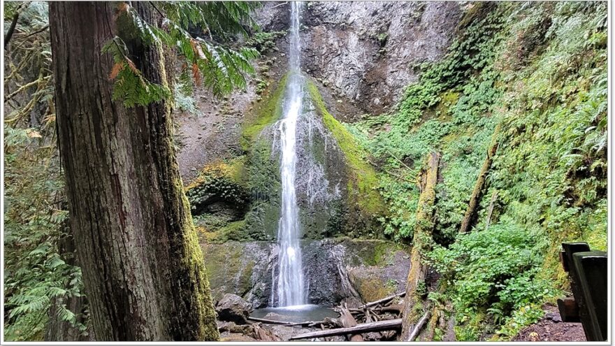 Maryme Falls - Olympic Nationalpark - Washington - USA