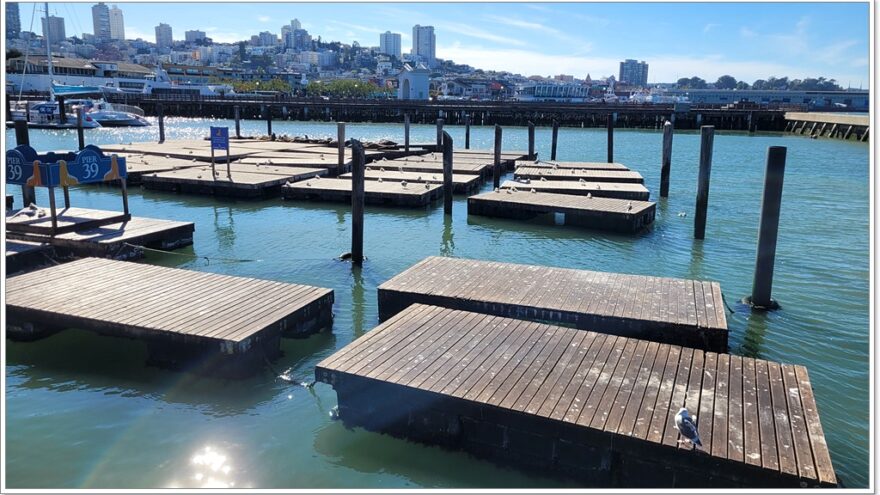 Pier 39 - Fisherman´s Wharf - San Francisco - USA